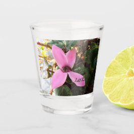 Copo De Shot Vidro fotografado