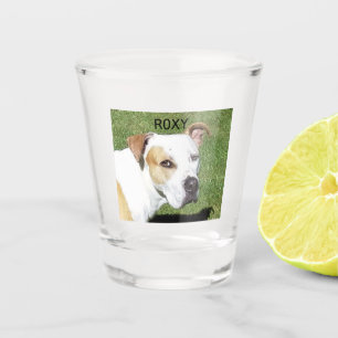 Copo De Shot Vidro Personalizado com fotografia de um animal ad