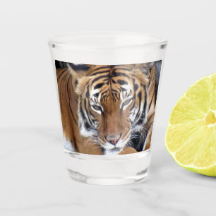 Copo De Shot Vidro Shot Tiger