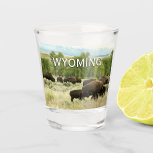 Copo De Shot Wyoming Bison Nature