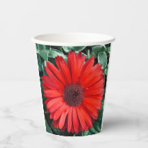 Copos de Papel para Festa Botânica Daisy Laranja