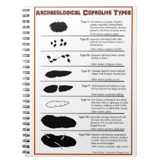 Coprolite Archaeological datilografa o caderno