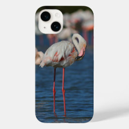 Coque iphone flamant rose