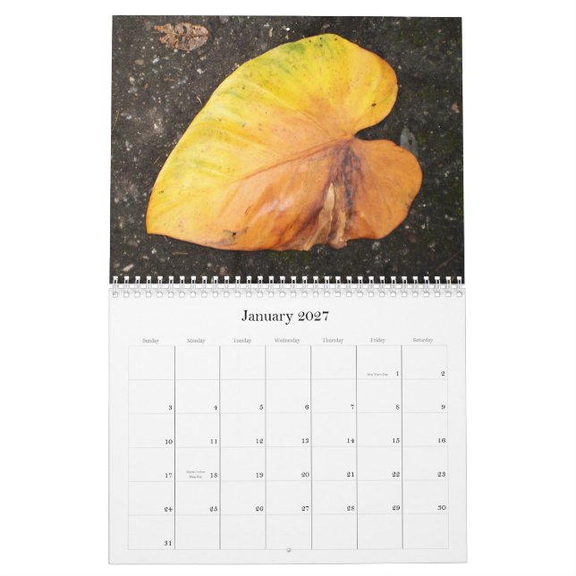 Cor das caraíbas… o calendário 2009 das flores (Jan 2027)
