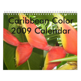Cor das caraíbas… o calendário 2009 das flores