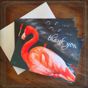 Cor de laranja rosa foto flamingo, obrigado cartão