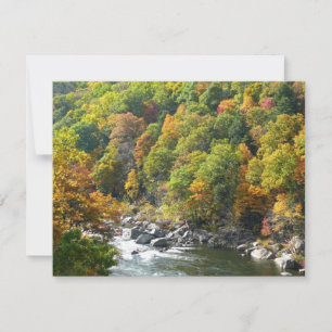 Cor de queda no Parque Estadual de Ohiopyle