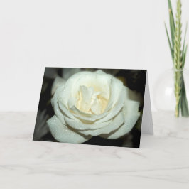Cor de rosa branco escuro - Cartão de saudação do 