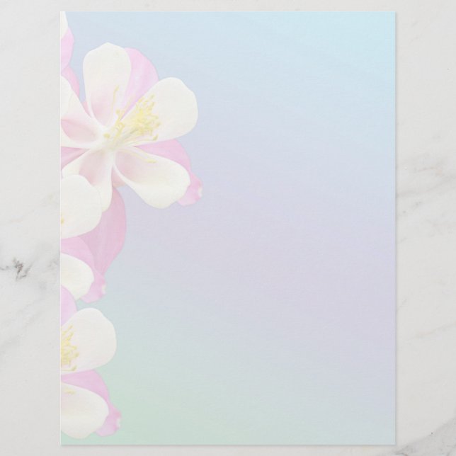 Cor-de-rosa e branco da flor Columbina (Frente)