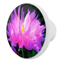 Cor-de-rosa estonteante e cacto roxo Dahlia