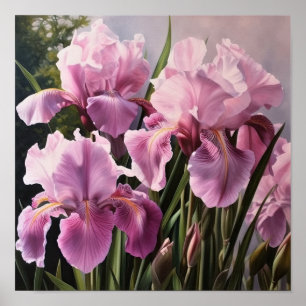 Cor-de-rosa irrissa Impressão de arte floral