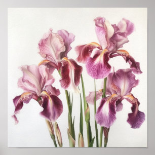 Cor-de-rosa irrissa Impressão de arte floral
