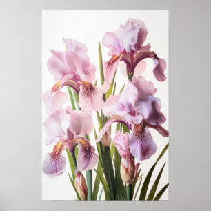 Cor-de-rosa irrissa Impressão de arte floral