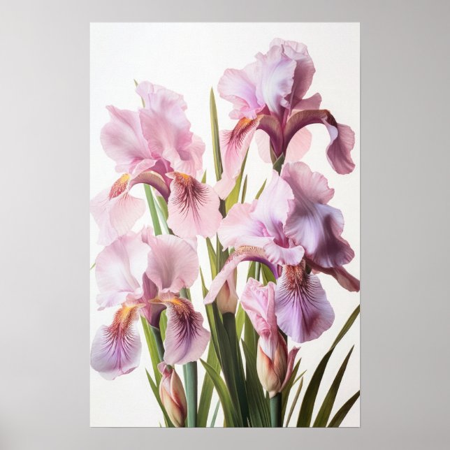 Cor-de-rosa irrissa Impressão de arte floral (Frente)