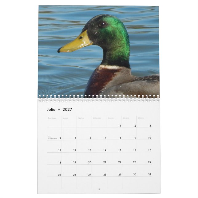 Cor do en dos gansos de Calendario engodo fotos de (Jul 2027)