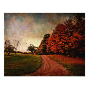 Cor Impressão-Mere da Fotografia