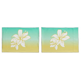 Cor Ombre da areia e do mar