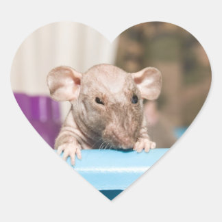 Coração adesivo de rato