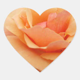 Coração Adesivo Rosa Laranja