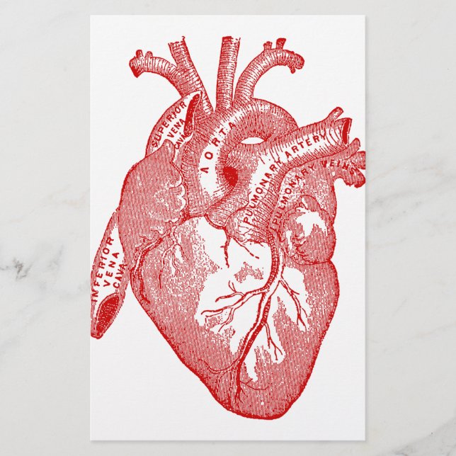 Coração Anatômico Vermelho Antiquado (Frente)