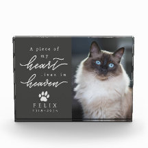 Coração Cinza Carvão Vive no Céu Memorial de Gato