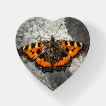 Coração da Borboleta Pequena Tortoisinfernal