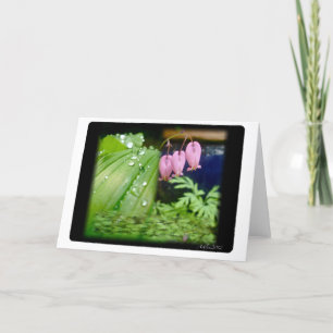 Coração Hemorragia, Cartão de Vazio