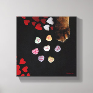 Corações dos doces do gatinho 8"" canvas x8