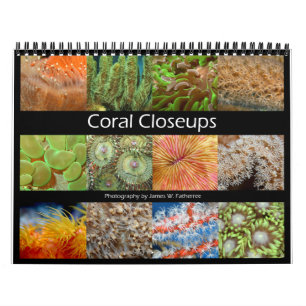 Coral Closeups Calendário de Muro por J.W. Pai.