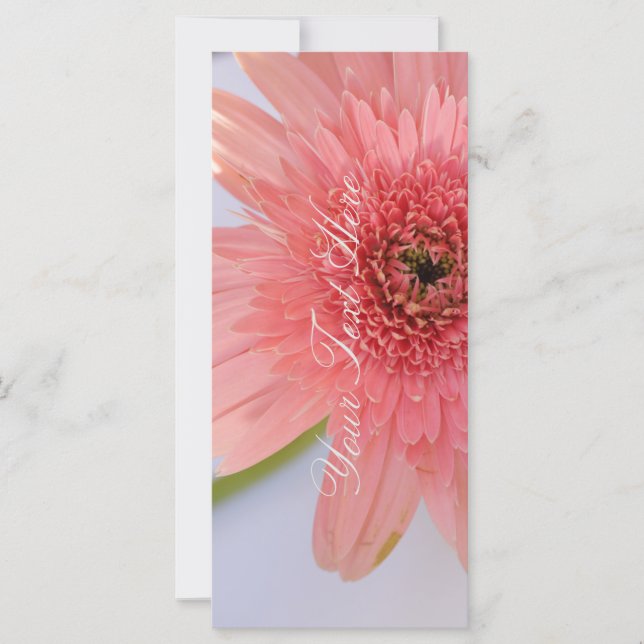 Coral Cor-de-rosa - Arroysanthemum A Sua Placa Pla (Frente)