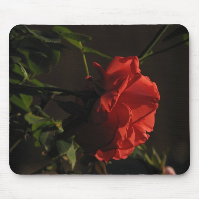 Coral Mousepad cor-de-rosa (Frente)