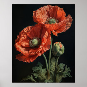 Coral Poppy Flowers Art Impressão Poster