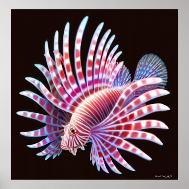 Coral Reef Lionfish Poster (Frente)