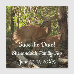 Corça e seu filhote no Parque Nacional Shenandoah