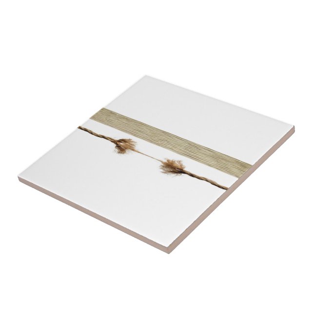 Corda Branca de Azulejo Cerâmica Natural (Lateral)