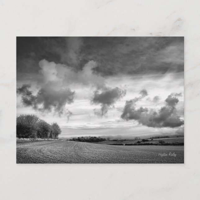 Cordeiros do céu, cartão postal de Wiltshire (Frente)