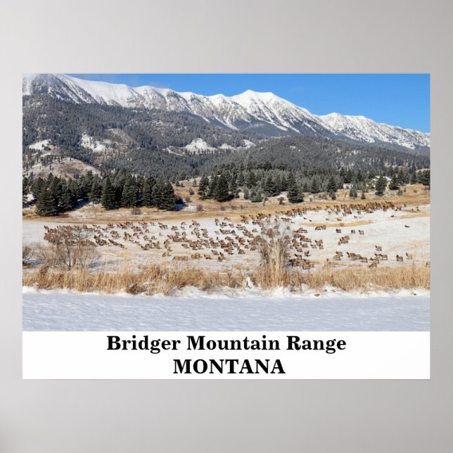 Cordilheira Bridger em Montana Poster (Frente)