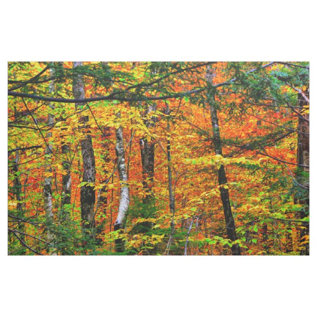 Cores bonitas da queda no tecido (Jarda)