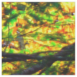 Cores bonitas da queda no tecido