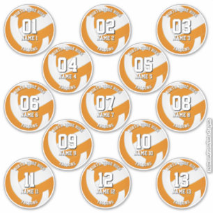 cores da equipe laranja adesivos volei 13 atletas