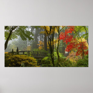 Cores da queda das árvores de bordo no poster