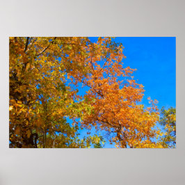 Cores de queda 3 Poster