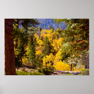 Cores de queda 6 Poster