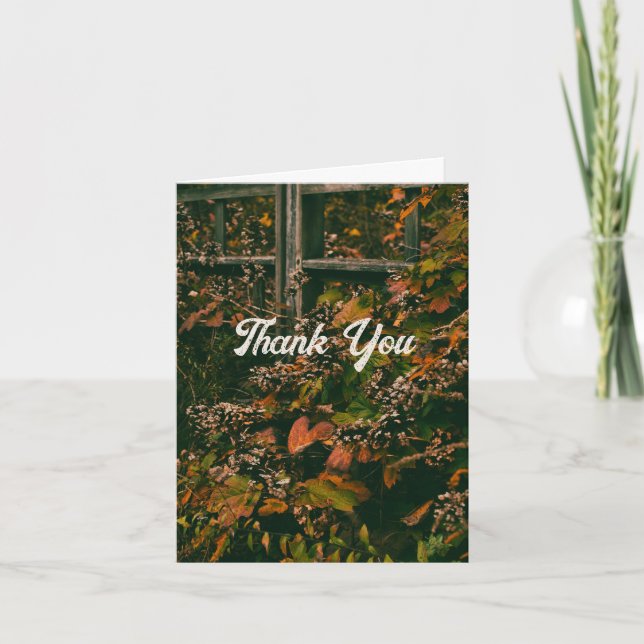 Cores de queda do cartões de agradecimentos (Frente)