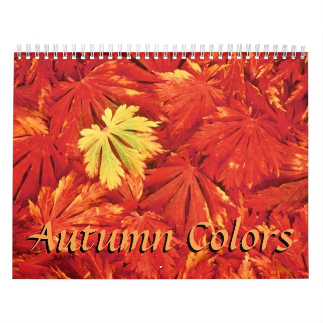 Cores do Calendário do outono de 2018 (Capa)