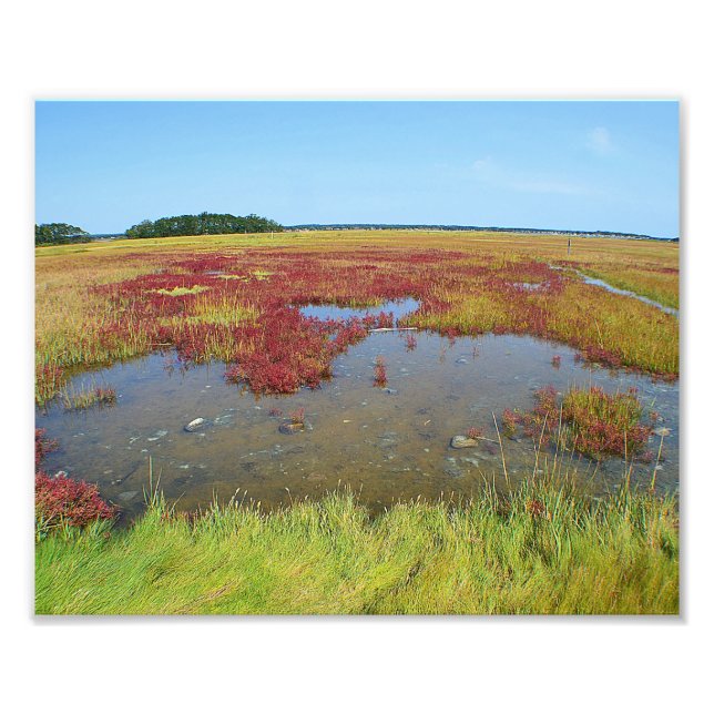 Cores Do Impressão De Fotografia Marsh (Frente)