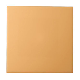Cores Modernas Azulejo de Cerâmica Laranja Tropica
