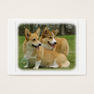 Corgi de Galês (Pembroke)