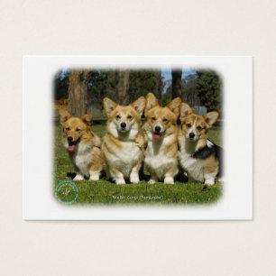 Corgi de Galês (Pembroke)