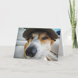Corgi exige que tratem o cartão de aniversário
